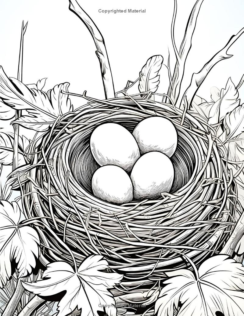 100 Birds Coloring Book: For Bird & Animal Lovers