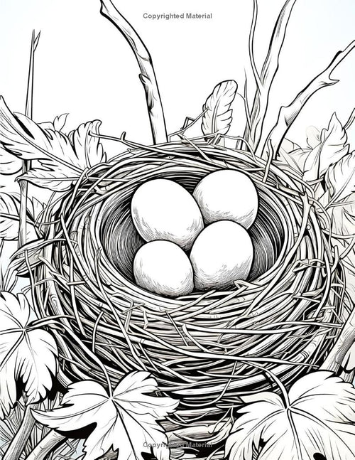 100 Birds Coloring Book: For Bird & Animal Lovers