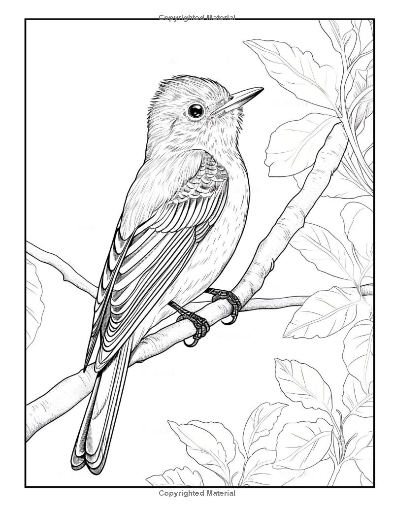 100 Birds Coloring Book: For Bird & Animal Lovers